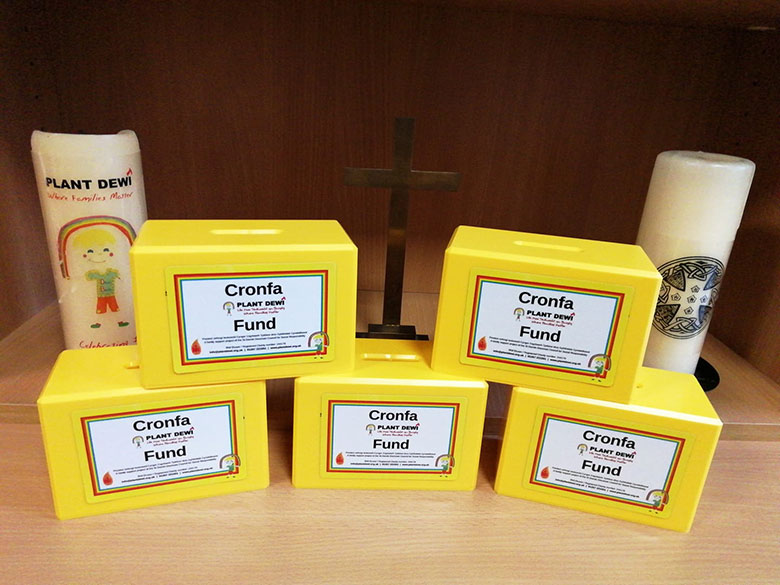 Fundraising charity boxes plant dewi