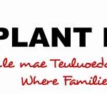 St Davids DCSR Plant Dewi